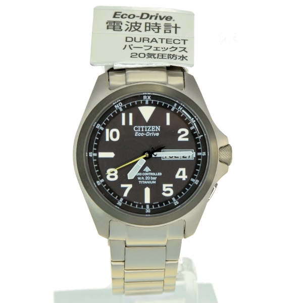 citizen promaster land titanium
