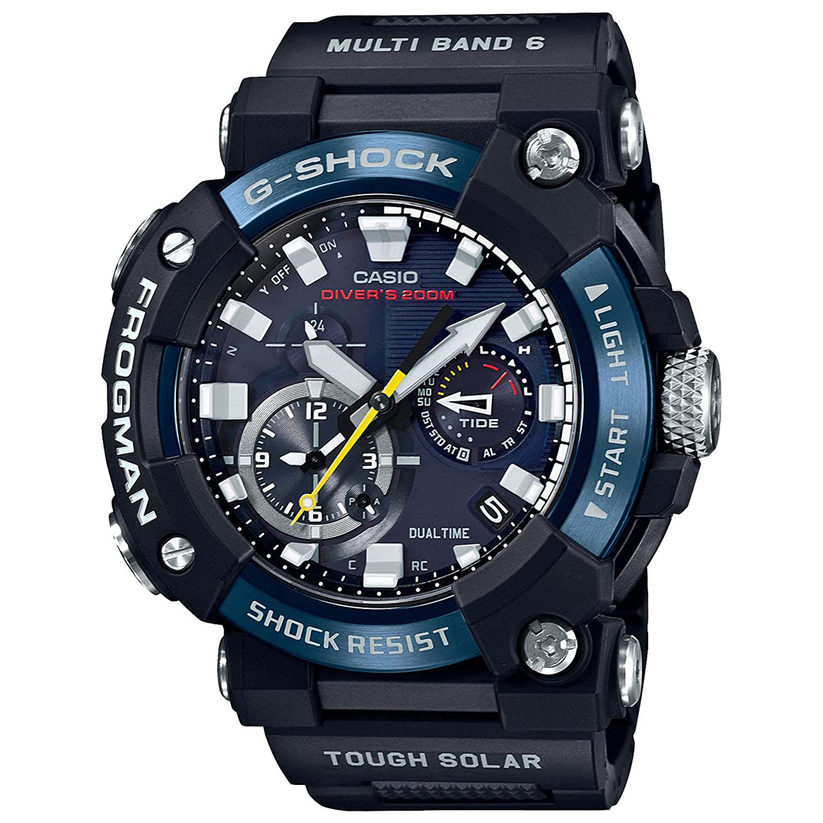 casio master of g frogman
