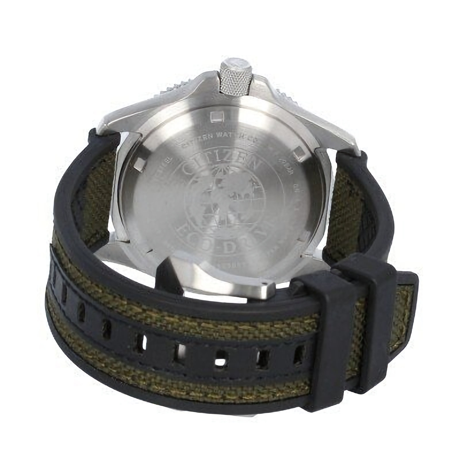 citizen promaster land gmt