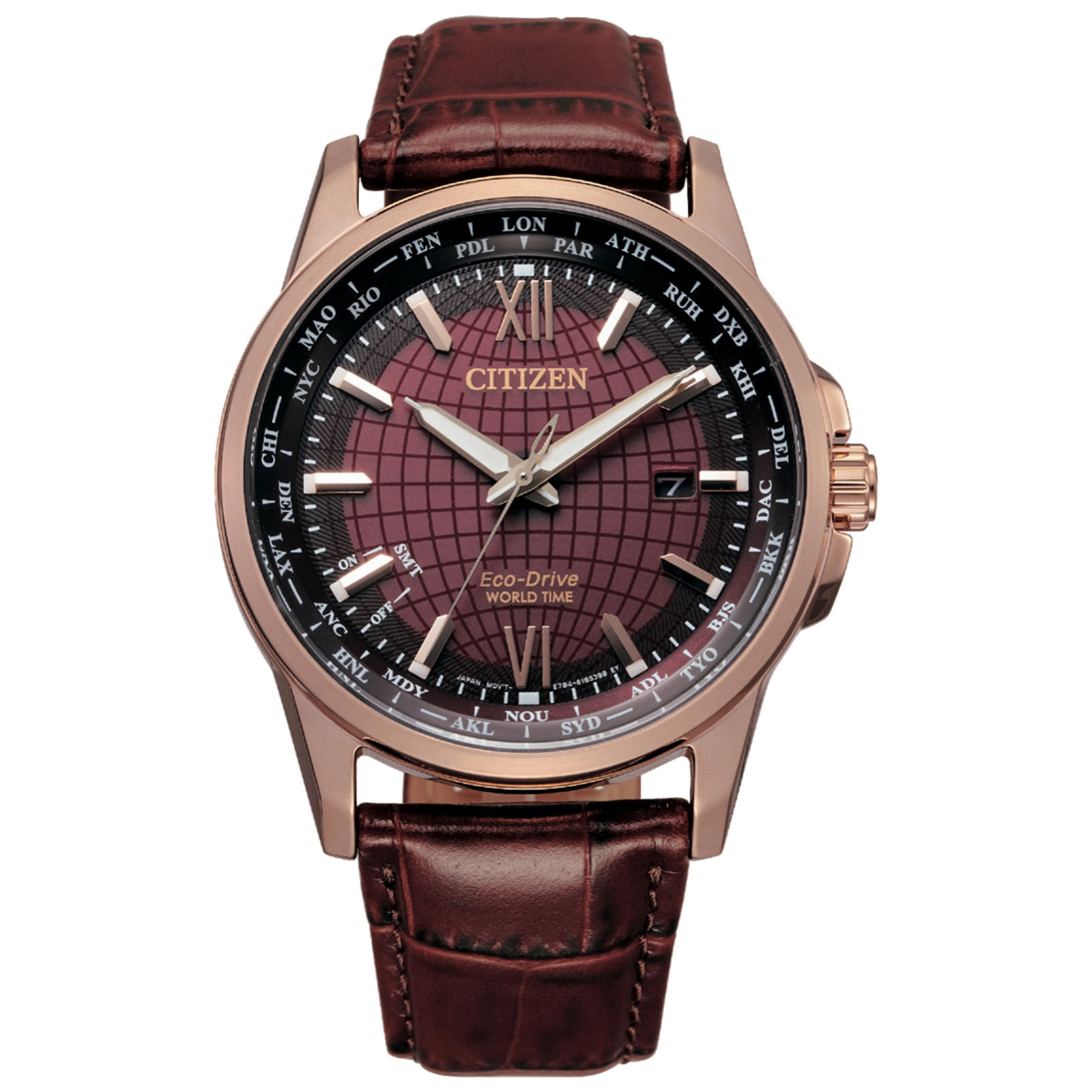 citizen world time perpetual