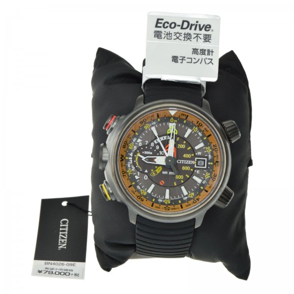 citizen altichron titanium