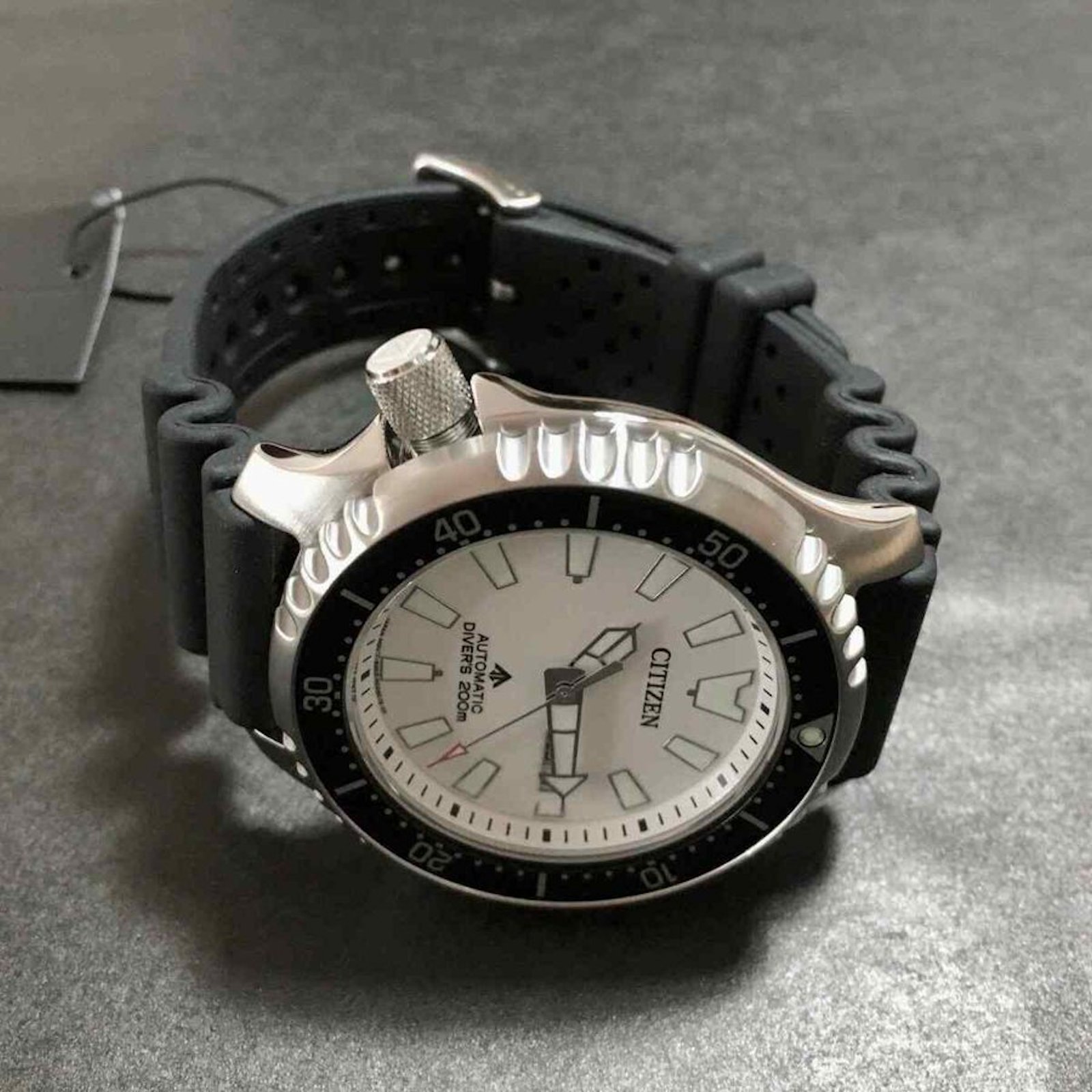 citizen promaster white dial